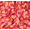 Coral Almond, variant on Zac Kids by Zac Posen Girls Embroidered Long Sleeve Smocked Dress, Sizes 4-18