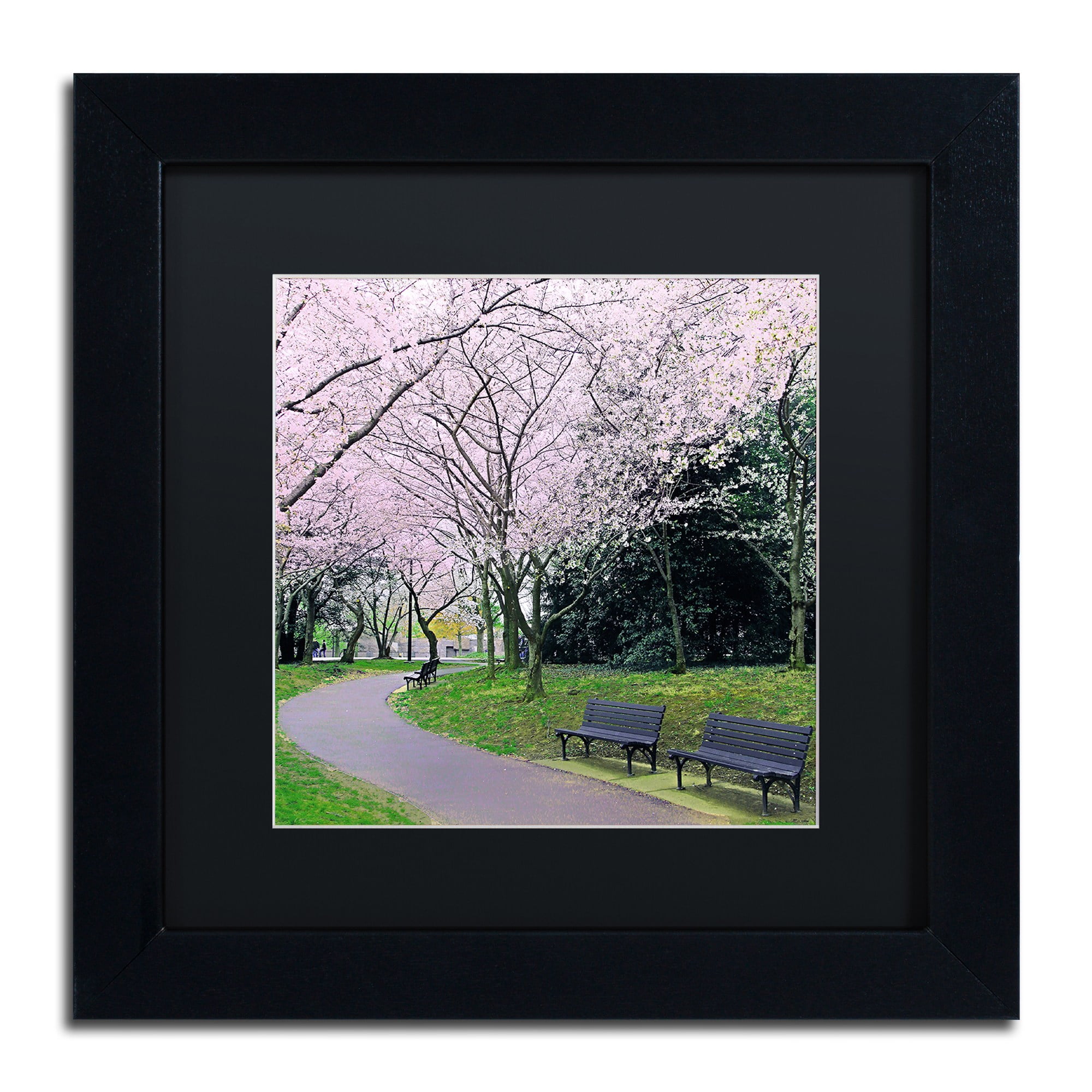 Trademark Fine Art "Spring Path" Canvas Art by CATeyes, Black Matte, Black Frame