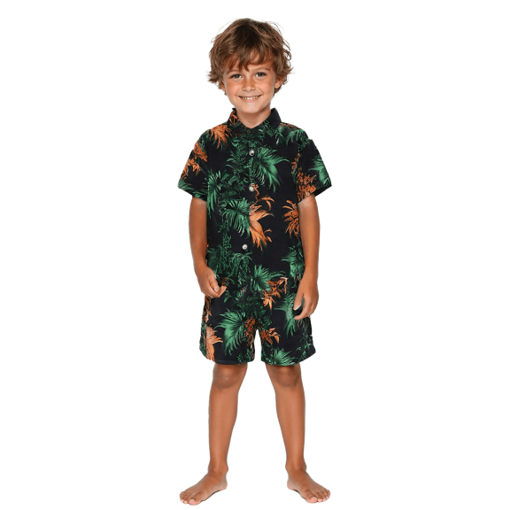 HAYIMI Kids Boys 2 Piece Outfits Hawaii Beach Shorts Sets Button Down O-Neck Short Sleeve Shirt And Shorts Toddler Trendy Child Cartoon Clothes Sets