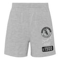 thumbnail image 3 of Toddler White/Heather Gray Chicago White Sox Two-Piece Groundout Baller Raglan T-Shirt & Shorts Set, 3 of 3