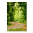 thumbnail image 2 of Trademark Fine Art "S Road" Canvas Art by Philippe Sainte-Laudy, 2 of 4