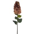 thumbnail image 2 of Vickerman FM228166 35.5 in. Cone Hydrangea Spray, Coffee - 2 per Bag, 2 of 2