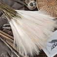 thumbnail image 3 of 1 pcs 19inch Grass Decor Natural Dried Pampas Grass,Fluffy Dried Flowers for Home Decor Wedding Boho Decor, 3 of 6