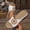 A_ White Wedge Shoes for Women, variant on CYMMPU Women's 3D Floral Decor Wedge Slide Sandals, Hollow Open Toe Slip On Summer Casual Footwear Brown 37