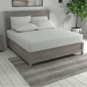 All-in-One Bed Bug Blocker Water Resistant Zippered Mattress Protector, Twin