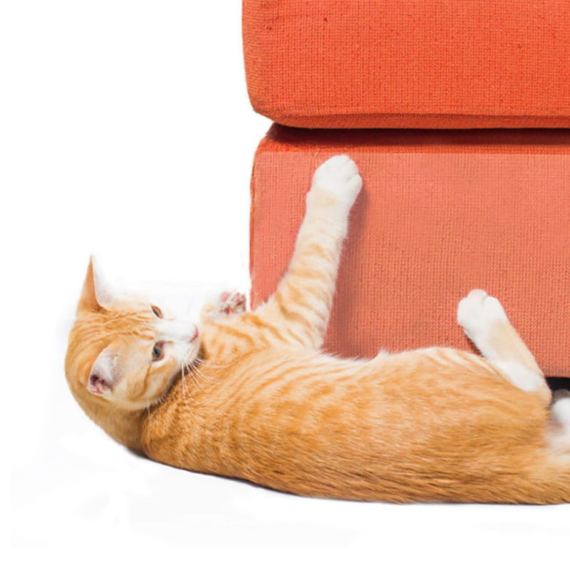 Couch Cover For Pets Cat Scratching, How Do I Stop Cat Scratching Leather Sofa
