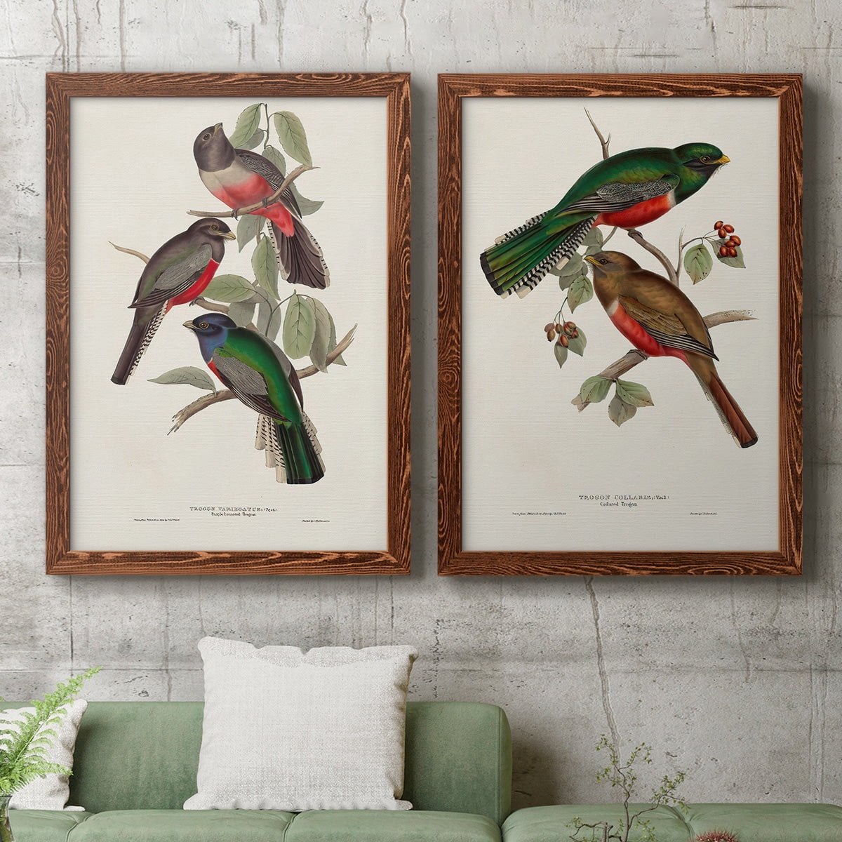 Elegant Trogons V - Premium Framed Canvas 2 Piece Set - Ready to Hang