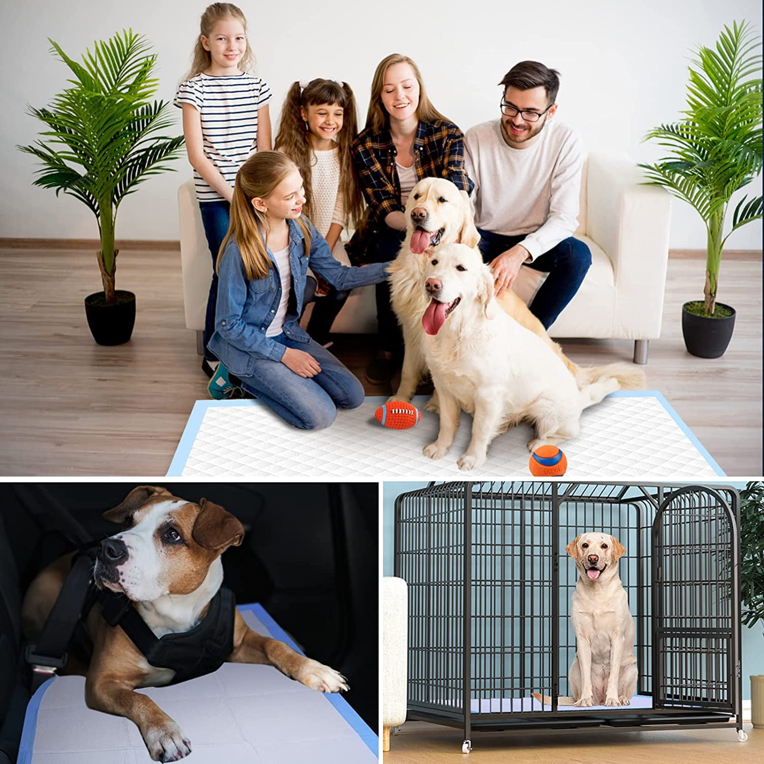 Thicken 6 Layers Heavy Absorbent Pet Training Dog Pee Pads, Extra Large Polymer Leak-Proof Quick Dry Puppy Pee Pads, Disposable Pee Pads for Dogs Cats Rabbit Puppy Pads