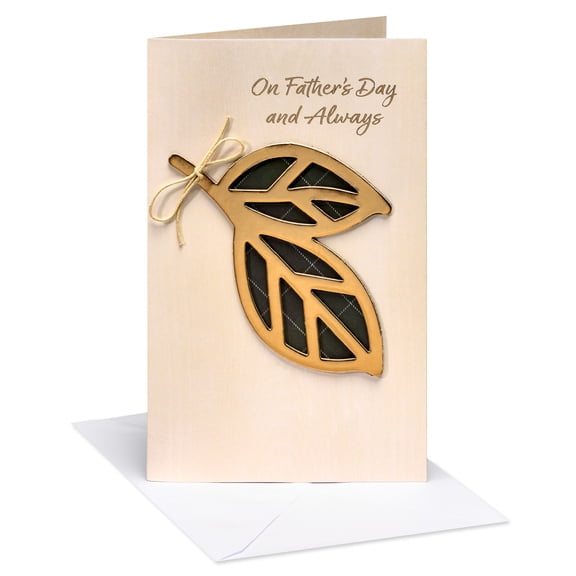 American Greetings Father's Day Card for Dad (A Wonderful Person You Are)