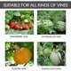 thumbnail image 4 of Doblador de plantas de 90 grados, 30 piezas de ramas de entrenamiento de bajo estrés para dobladores, alicates para doblar, alicates para ramitas Entrenador de plantas de tomate (30, verde), 4 of 5