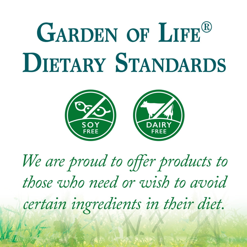 Garden of Life Raw Organic Protein & Greens, Lightly Sweet, 20 Servings
