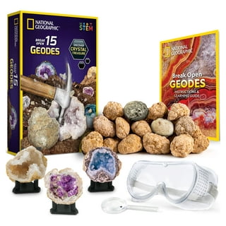 National Geographic Craft Kits for Kids - Crystal Growing Kit, Grow 6 Crystal Trees in Just 6 Hours, Educational Craft Kit with Art Supplies, Geode