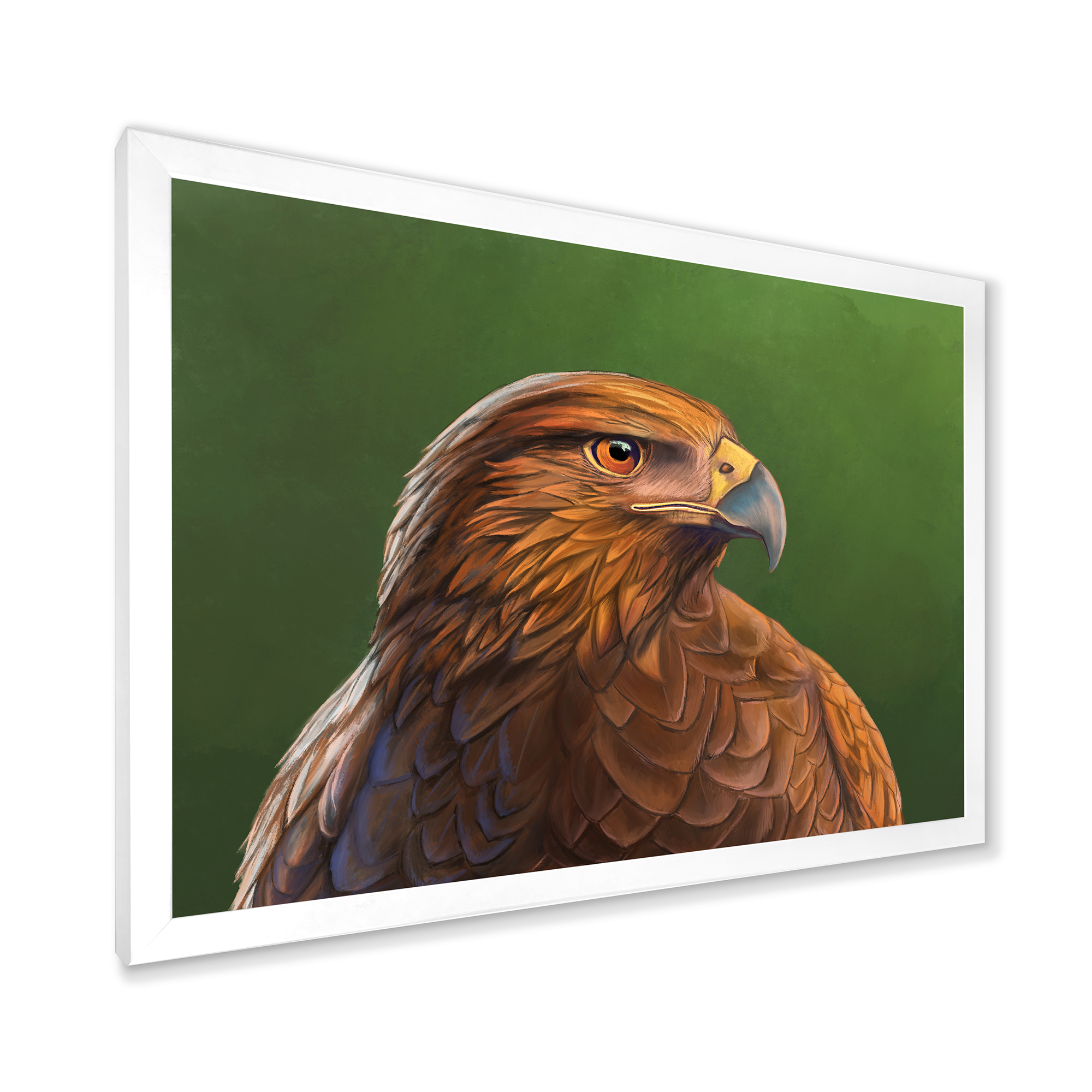 Designart 'Close UP Of Harris Hawk Bird' Traditional Framed Art Print