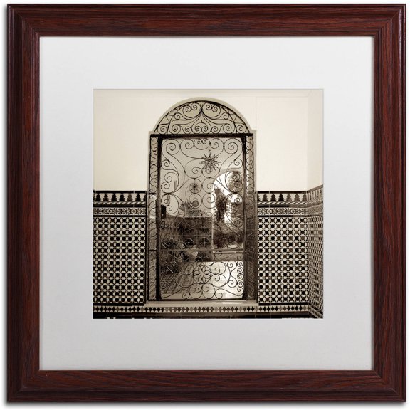 Trademark Fine Art "Cordoba I" Canvas Art by Alan Blaustein, White Matte, Wood Frame