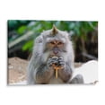 thumbnail image 1 of Cuadro decorativo - Chango comiendo, Rodrigo Zabal 75x50 Canvas Lab Animales, Naturaleza, Animales y naturaleza,, 1 of 2