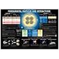 thumbnail image 3 of Contemporary Physics Education Project Fundamental Particles and Interactions Chart (59" x 41"), 3 of 3
