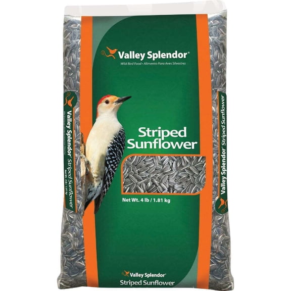 Valley Splendor 4 Lb. Striped Sunflower Seed 387