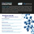 thumbnail image 3 of Creatina Monohidratada Micronizada Creapure Reforzada con NAD+ Eternal Nutrition 550 Gramos 5 gr, 3 of 5