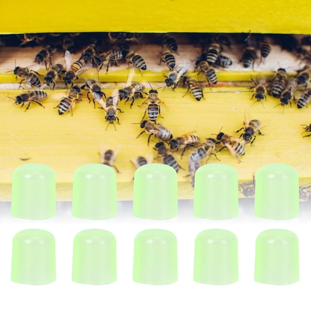 Copas para celdas reales, 1000 piezas Copas para celdas reales Copa para celdas de cría de reinas Sistema de cría de reinas Funcionalidad inteligente