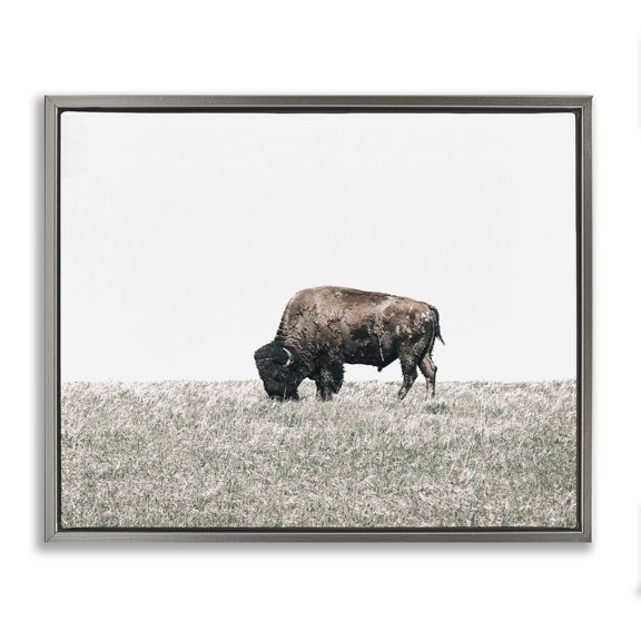 Stupell Industries Southwestern Buffalo Grazing Pasture Gray Floating Frame Canvas Art, 31 x 25, by Daniel Sproul
