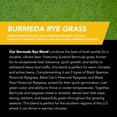 thumbnail image 4 of GrowTrax 50-ft. x 2-ft. Full Sun, Bermuda Rye Mixture Grass Seed, 4 of 8