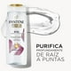 thumbnail image 3 of Shampoo Pantene Pro-V Miracles Detox Limpia - Purifica 750 ml, 3 of 5
