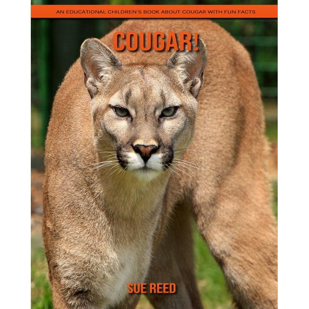 puma facts for kids