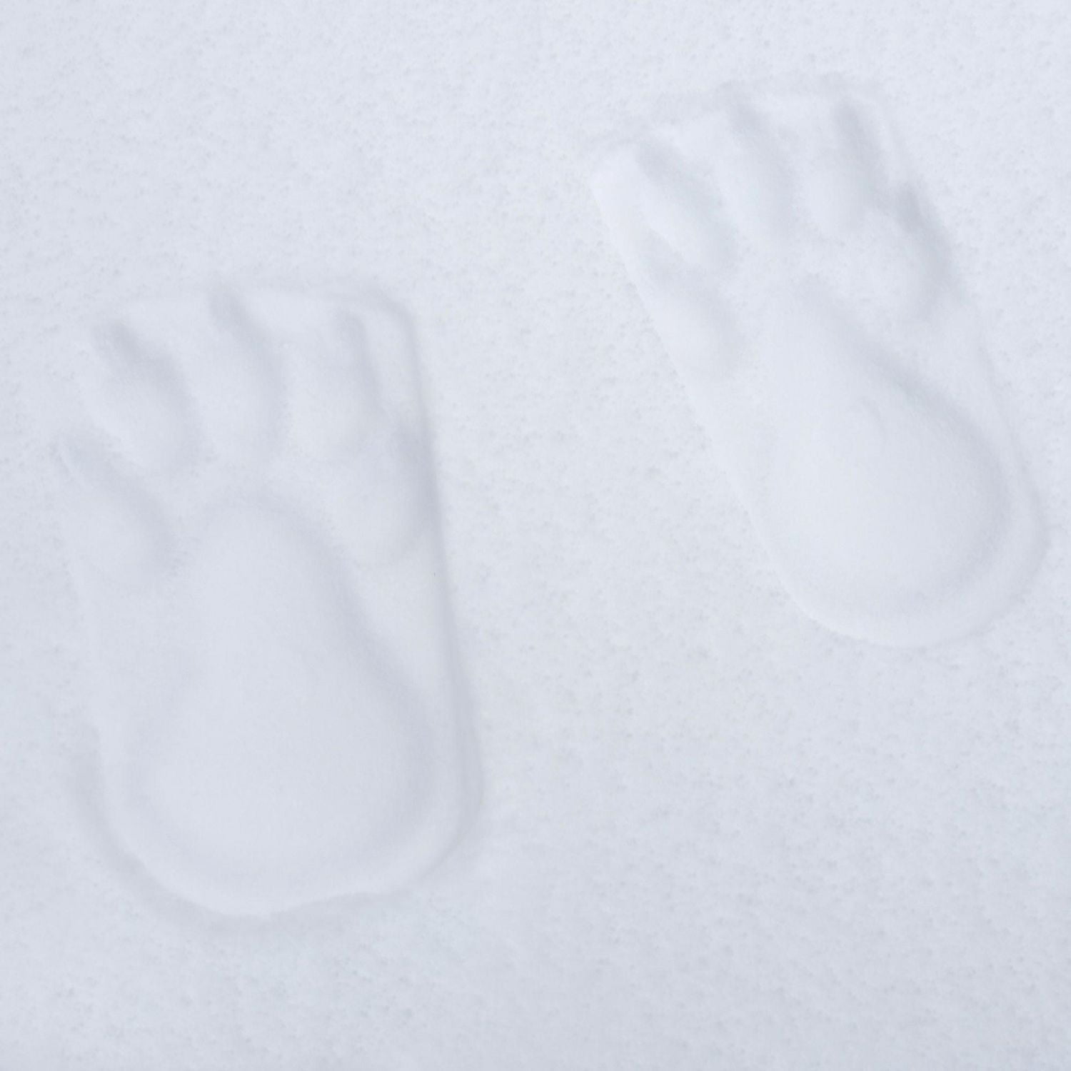 Snow Stampers - Bear Feet tracks in the snow