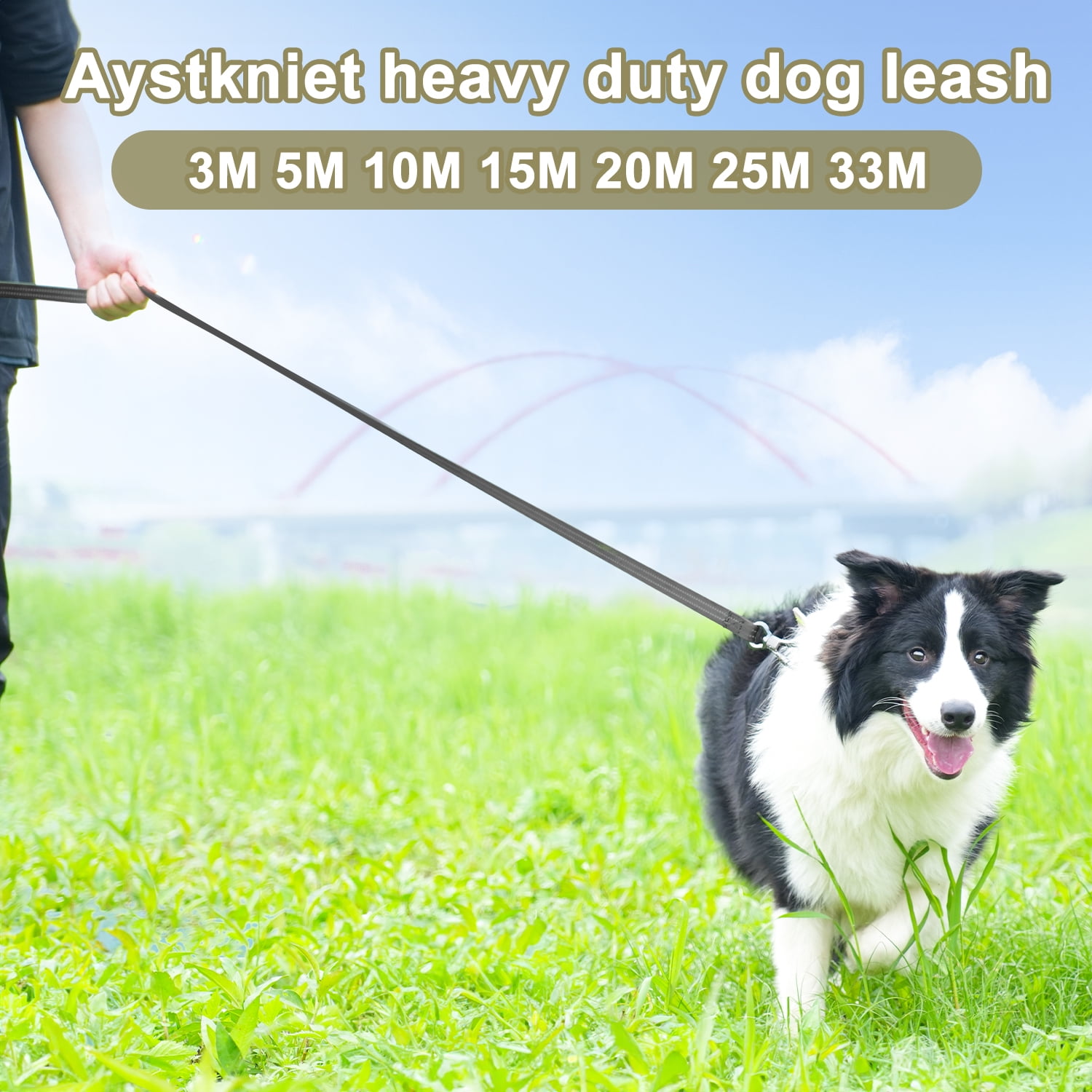 Aystkniet Double Sided Reflective Dog Leash Rope 10 FT 32 FT 50 FT 65 FT Heavy Duty Long Dog Leash Padded Soft Handle Dog Lead for Small Medium