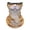 Bronze, variant on Cute Bandana Faces Cover for Men Women Neck Gaiter Scarf Elastic Headband Hiking Riding Sports Outdoor Breathable Scarves Blue