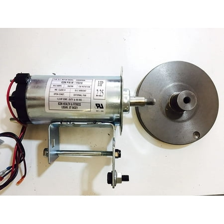 Hydra Fitness Exchange DC Drive Motor with Flywheel M-175310 or 175310 Works W Weslo Treadmill