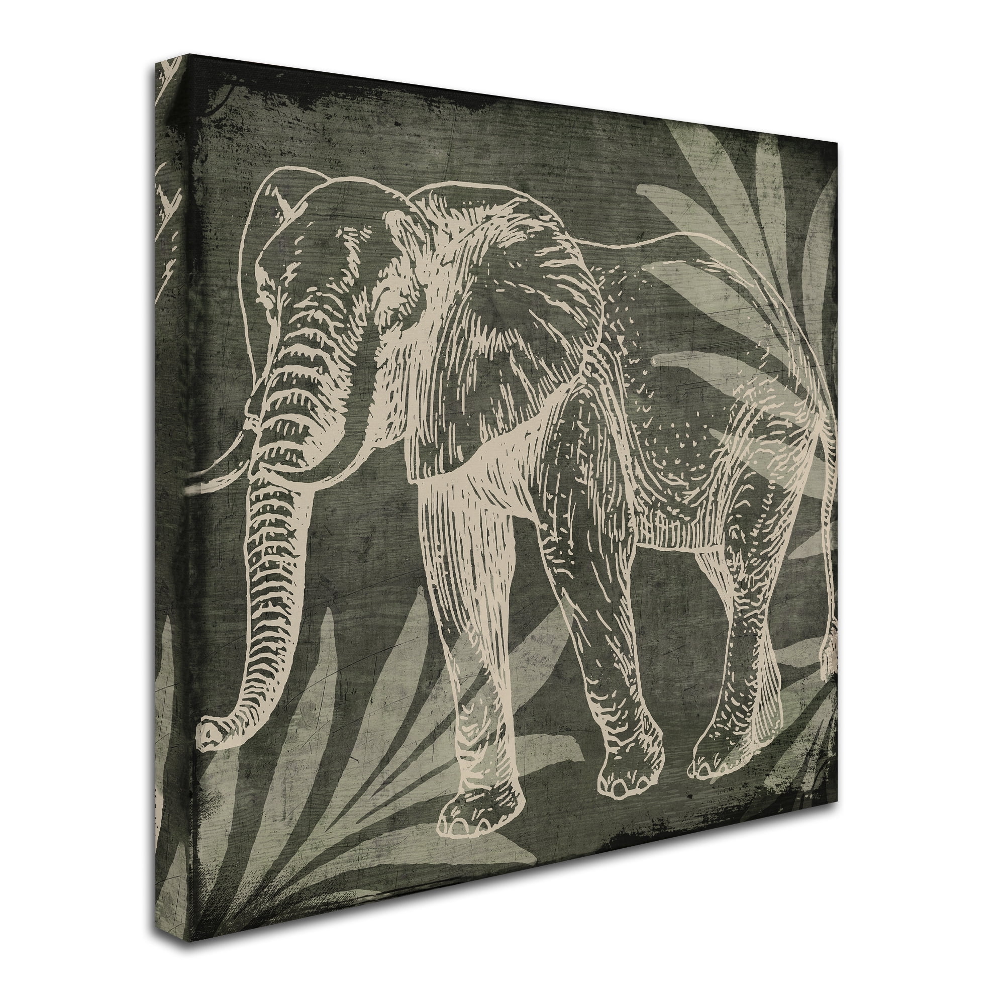 Trademark Fine Art "Elephant 1" Canvas Art by Color Bakery