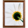 thumbnail image 1 of Craig Frames Wiltshire 236, Simple Brown Hardwood Picture Frame, 4 x 6 Inch, 1 of 4
