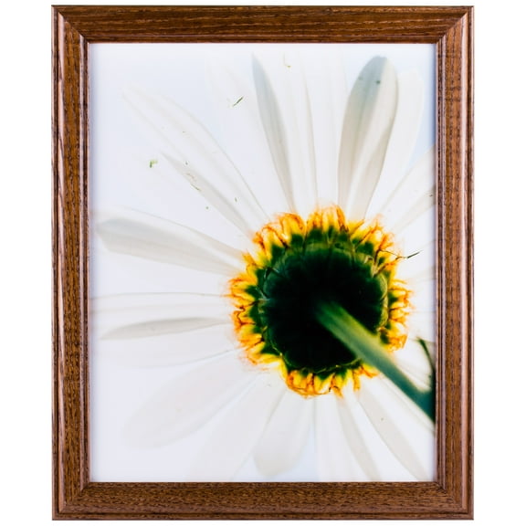 Craig Frames Wiltshire 236, 4x10 inch Picture Frame, Simple Brown Hardwood