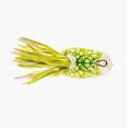 thumbnail image 2 of Scum Frog Popper 5/16 oz, 2 of 3