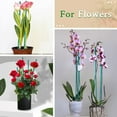 thumbnail image 6 of Green Plant Stakes,Garden Bamboo Plant Sticks for Indoor and Outdoor Plants,Topboutique Sturdy Wood Flower Sticks,Floral Plant Stakes for Supporting Vines Stalks Grow Upright,16 inch, 6 of 8