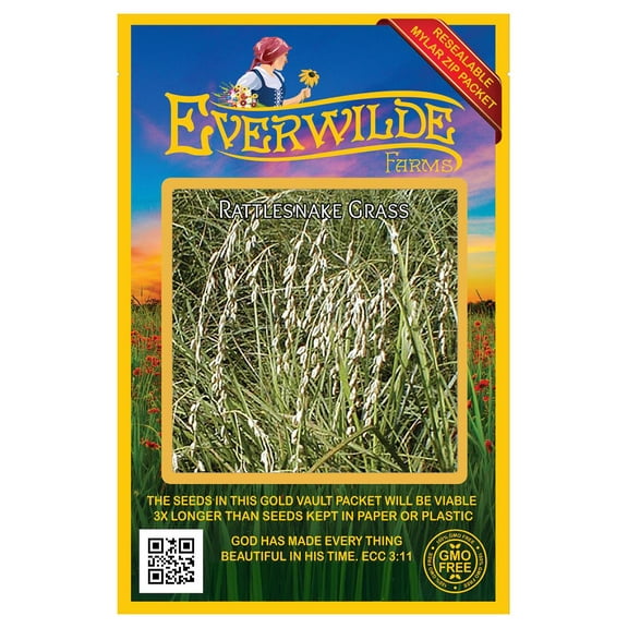 Everwilde Farms - 1000 Rattlesnake Grass Native Grass Seeds - Gold Vault Seed Packet