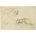 thumbnail image 2 of Eugène Delacroix 18x13 Gold Ornate Wood Frame and Double Matted Museum Art Print Titled - Studies of Lions (C. 1829), 2 of 4