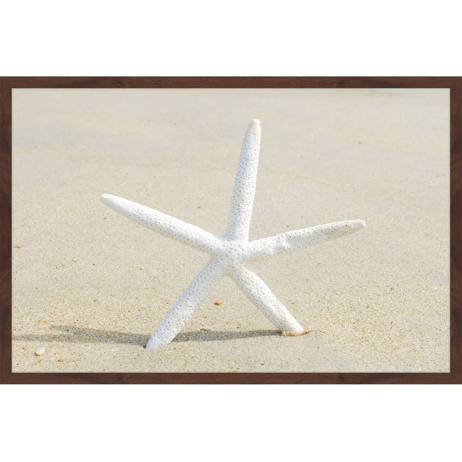 "Beach Star" Framed Painting Print
