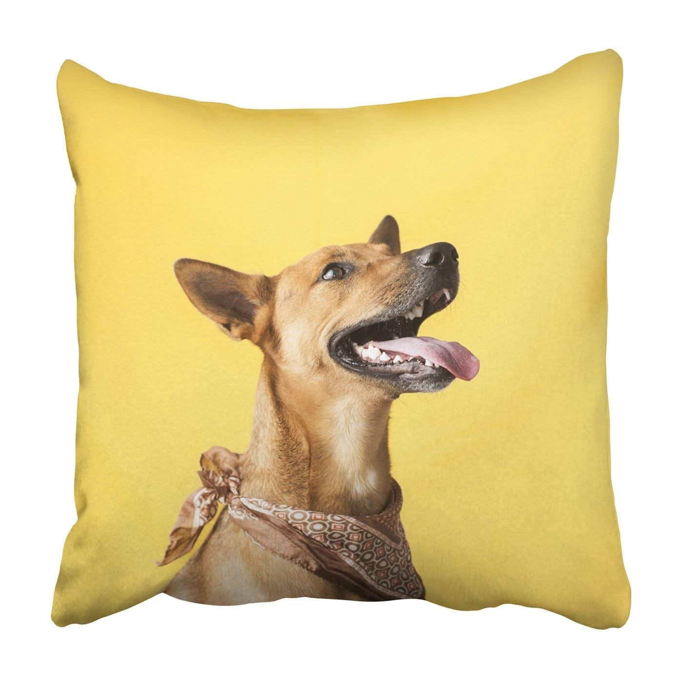 BPBOP Happy curious dog Mixed breed Pillowcase Throw Pillow Cover Case