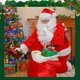 thumbnail image 5 of Gorro de Papá Noel y barba de adulto, máscara de decoración de ropa navideña para hombres, 5 of 5