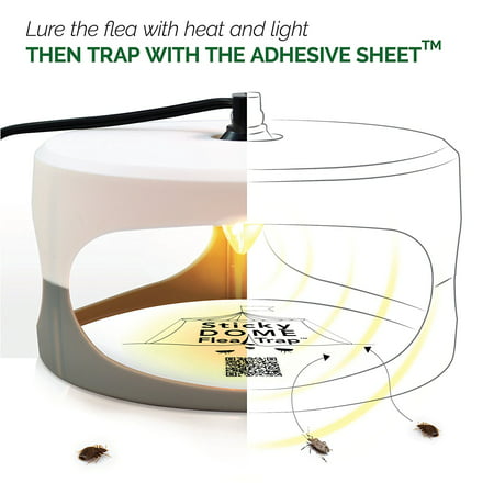 Indoor Plug-in Sticky Flea Trap with Light and Heat Attracter (Includes 2-Adhesive Glue-Boards) / Get Rid of All Fleas, Bed Bugs, Flies, Etc. - For Residential and Commercial (Best Way To Get Rid Of Squirrels In Your Yard)