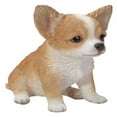 thumbnail image 3 of Hi-Line Gift Ltd Chihuahua Puppy Statue, Brown/White, 3 of 10