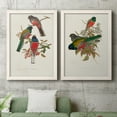 thumbnail image 5 of Elegant Trogons IX - Premium Framed Canvas 2 Piece Set - Ready to Hang, 5 of 7