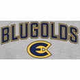 thumbnail image 2 of Men's Ash Wisconsin Eau Claire Blugolds Proud Mascot T-Shirt, 2 of 2