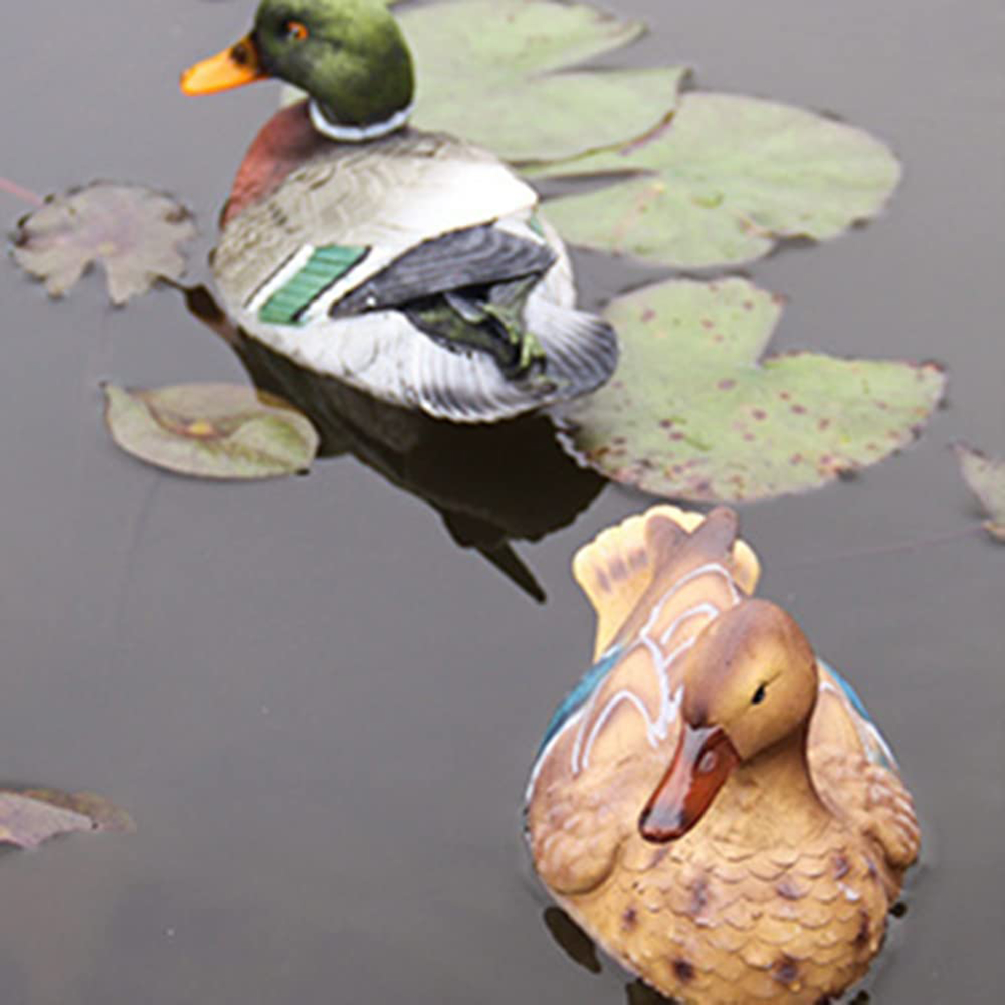 Buy RSRZRCJ 8'' Floating Mandarin Duck Decoy, Duck Sculpture Craft