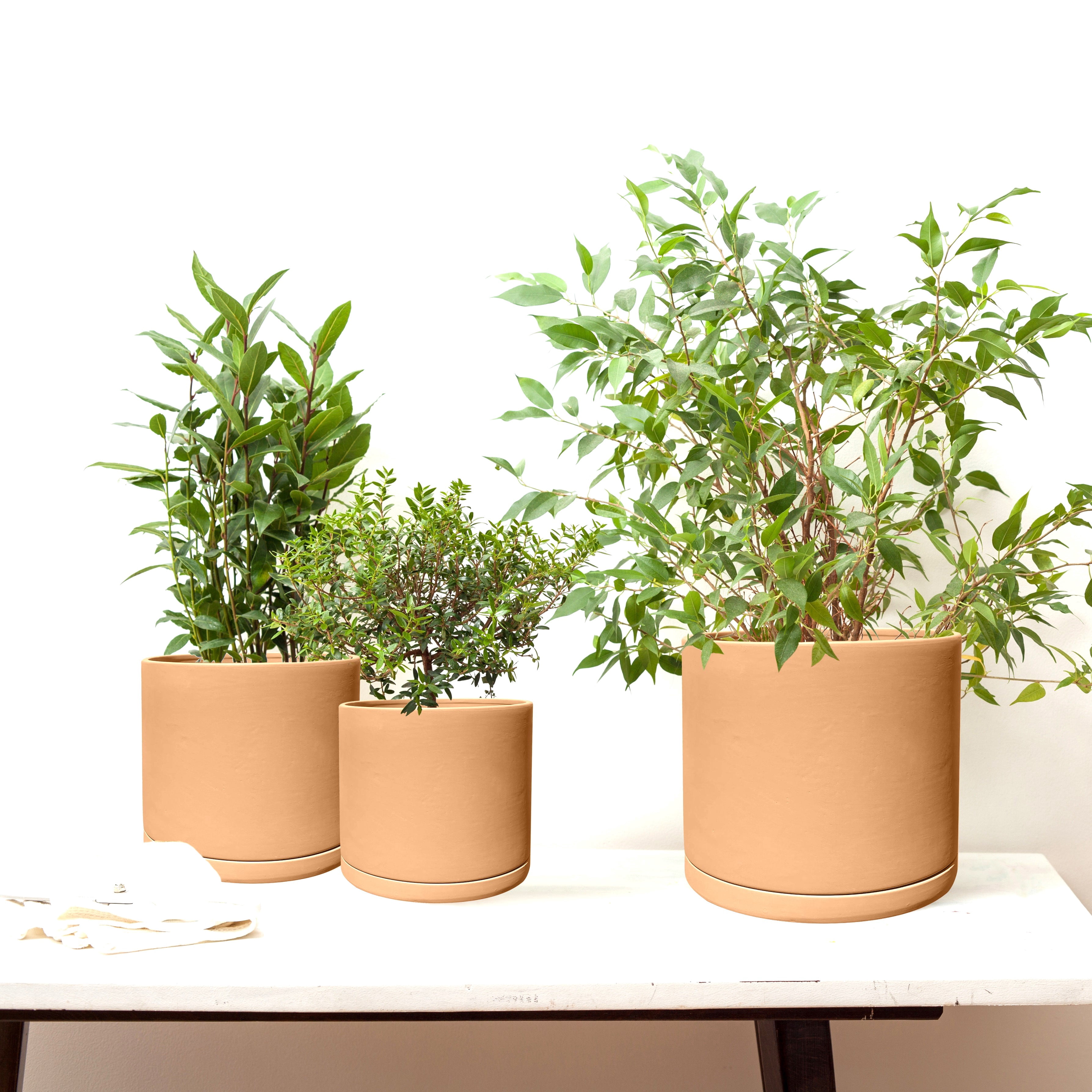 Olly & Rose Rome Terracotta Plant Pots Garden Planters Set 3 Indoor Outdoor Ceramic Plant Pots with Saucers