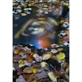 thumbnail image 2 of Rotenberg, Nancy 14x18 Gold Ornate Wood Framed with Double Matting Museum Art Print Titled - ME, Acadia Whirlpool of fallen leaves in stream, 2 of 4