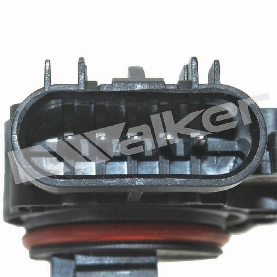 Walker 245-1250