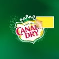 thumbnail image 6 of Canada Dry Caffeine Free Ginger Ale Soda Pop, 1.75 lt Plastic Bottle, 6 of 6